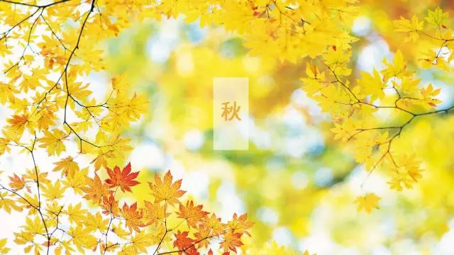 一定要除濕的10大領(lǐng)域 一定要除濕的10大領(lǐng)域