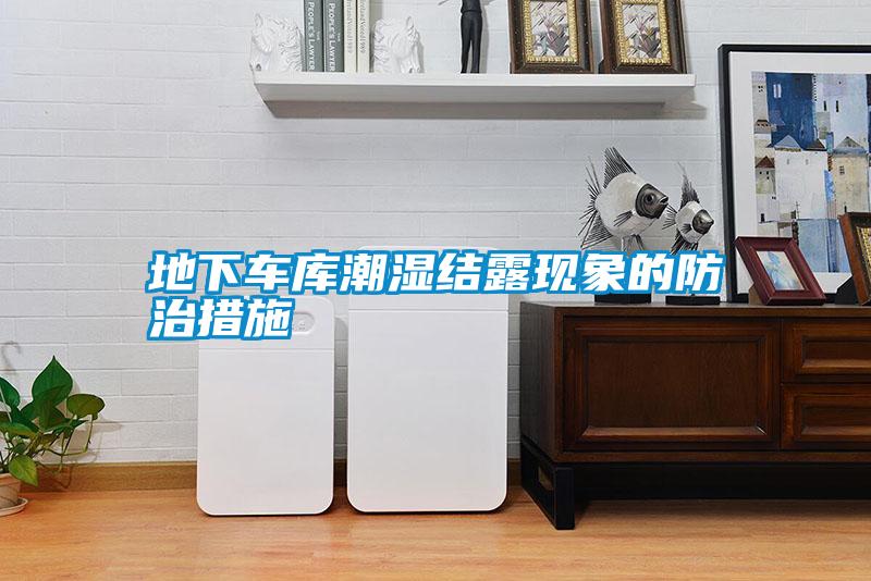 地下車(chē)庫(kù)潮濕結(jié)露現(xiàn)象的防治措施