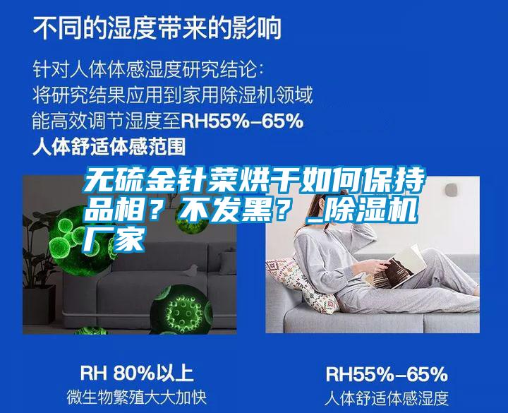 無硫金針菜烘干如何保持品相?不發黑?_除濕機廠家