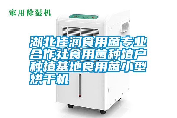 湖北佳潤食用菌專業合作社食用菌種植戶種植基地食用菌小型烘干機