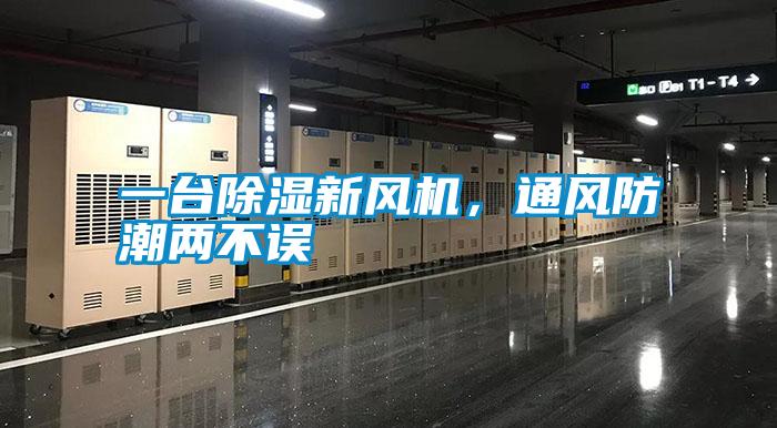 一臺除濕新風(fēng)機,通風(fēng)防潮兩不誤
