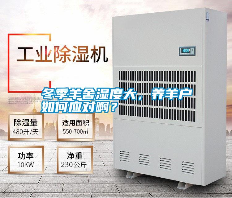 冬季羊舍濕度大，養(yǎng)羊戶如何應(yīng)對啊？