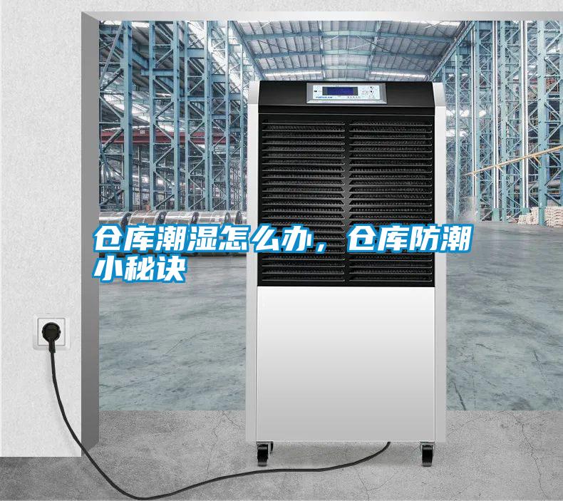 倉庫潮濕怎么辦，倉庫防潮小秘訣