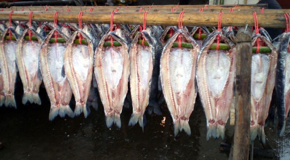 高溫魚干專用除濕機烘干除濕海產品烘烤工藝 高溫魚干專用除濕機烘干除濕海產品烘烤工藝