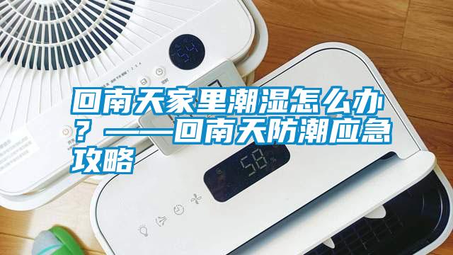 回南天家里潮濕怎么辦?——回南天防潮應急攻略