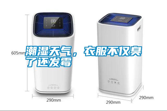 潮濕天氣,衣服不僅臭了還發霉