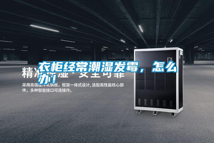 衣柜經(jīng)常潮濕發(fā)霉,怎么辦!