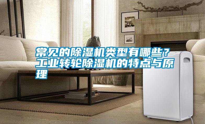 常見的除濕機類型有哪些?工業轉輪除濕機的特點與原理