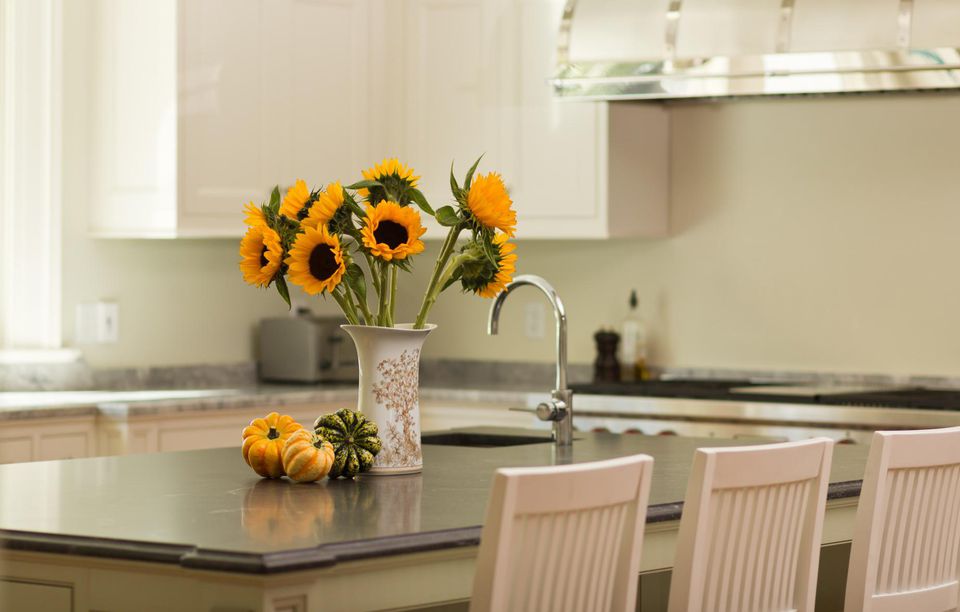 你家里的環境是太干燥還是太潮濕? 你家里的環境是太干燥還是太潮濕?