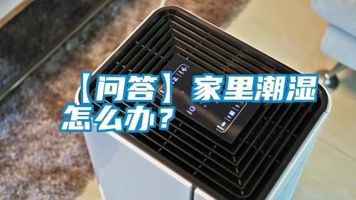 【問答】家里潮濕怎么辦？