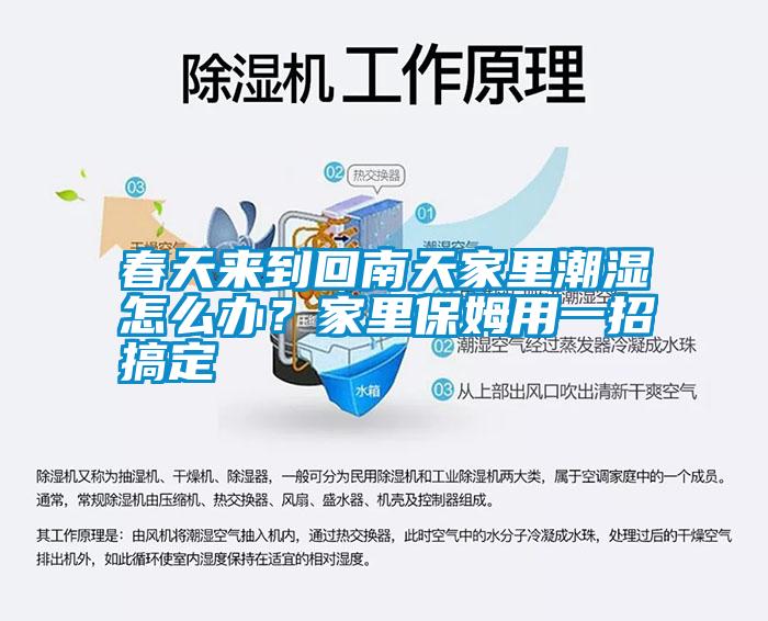 春天來到回南天家里潮濕怎么辦?家里保姆用一招搞定