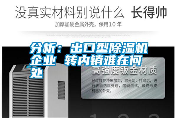 分析:出口型除濕機企業(yè) 轉(zhuǎn)內(nèi)銷難在何處