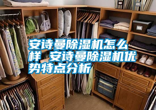 安詩曼除濕機怎么樣 安詩曼除濕機優勢特點分析