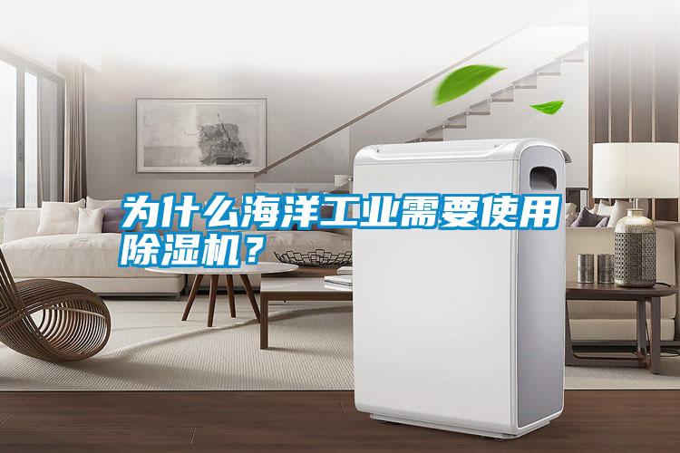 為什么海洋工業需要使用除濕機？