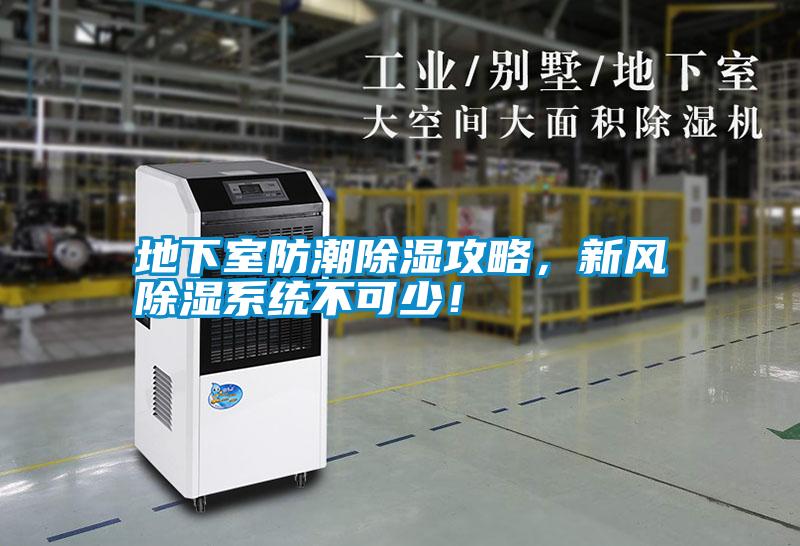 地下室防潮除濕攻略,新風除濕系統不可少!
