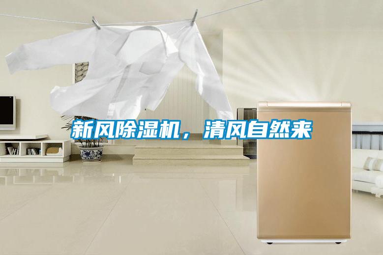 新風除濕機,清風自然來