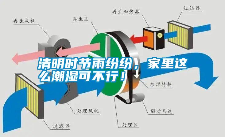 清明時節雨紛紛,家里這么潮濕可不行!