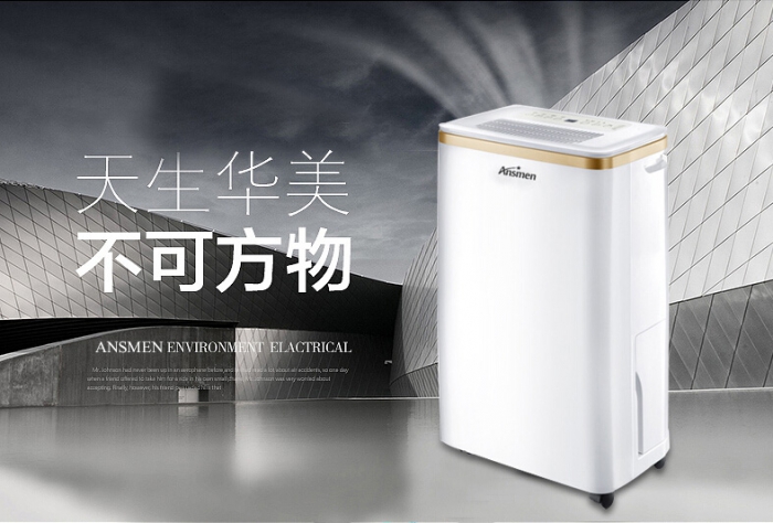 價值:新營銷時代 除濕器產(chǎn)品造勢顧客滿意消費(fèi)鏈 價值:新營銷時代 除濕器產(chǎn)品造勢顧客滿意消費(fèi)鏈