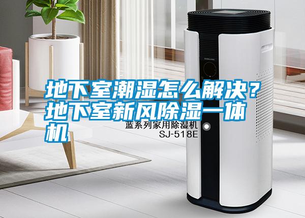 地下室潮濕怎么解決?地下室新風除濕一體機