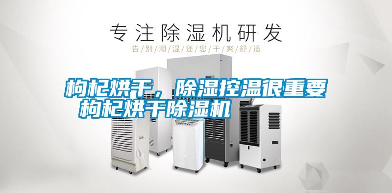 枸杞烘干，除濕控溫很重要 枸杞烘干除濕機