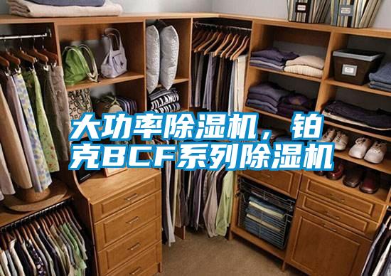 大功率除濕機,鉑克BCF系列除濕機