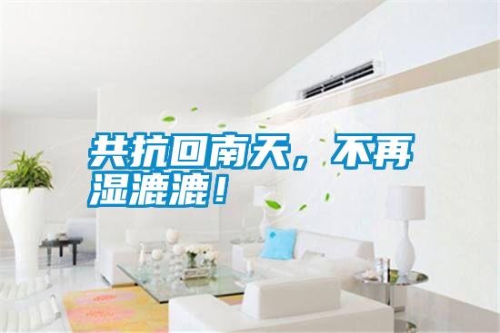共抗回南天,不再濕漉漉!