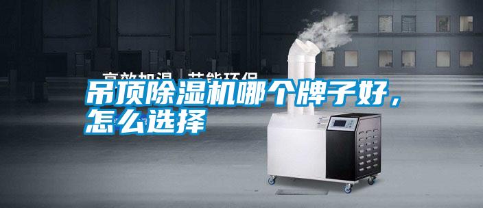 吊頂除濕機(jī)哪個(gè)牌子好，怎么選擇