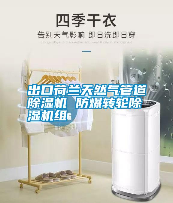 出口荷蘭天然氣管道除濕機 防爆轉輪除濕機組