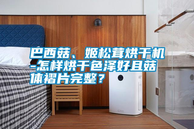 巴西菇、姬松茸烘干機-怎樣烘干色澤好且菇體褶片完整?