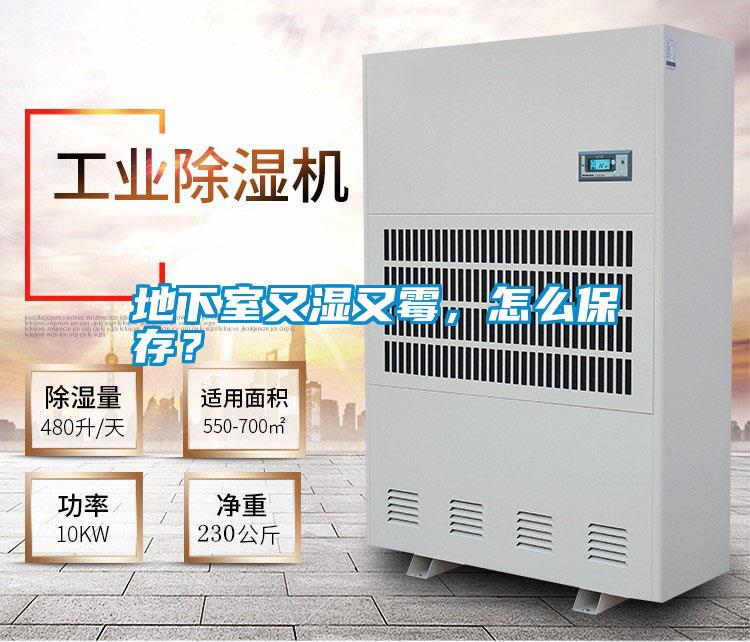 地下室又濕又霉，怎么保存？