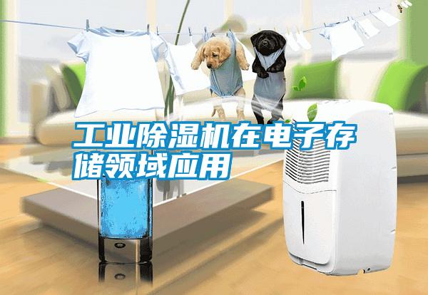 工業除濕機在電子存儲領域應用