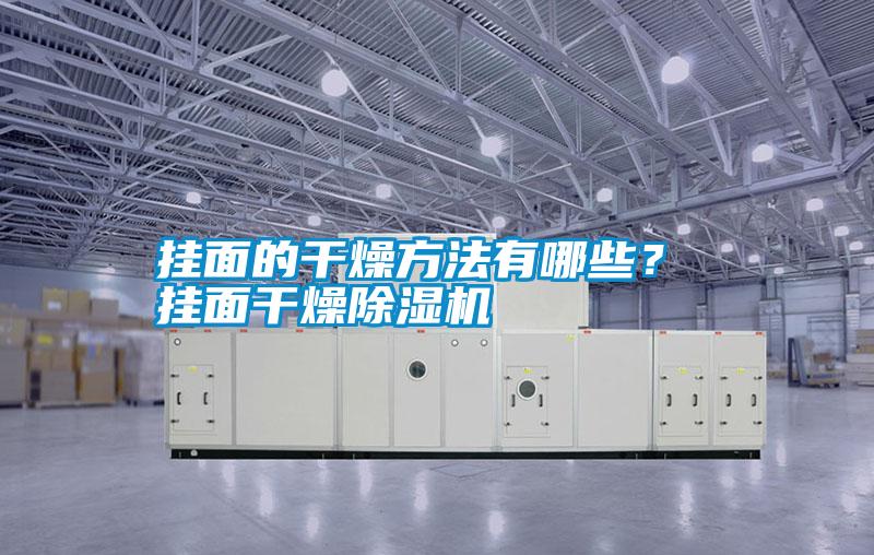 掛面的干燥方法有哪些？ 掛面干燥除濕機