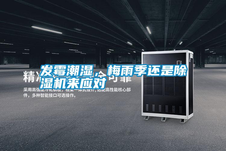 發(fā)霉潮濕，梅雨季還是除濕機(jī)來應(yīng)對