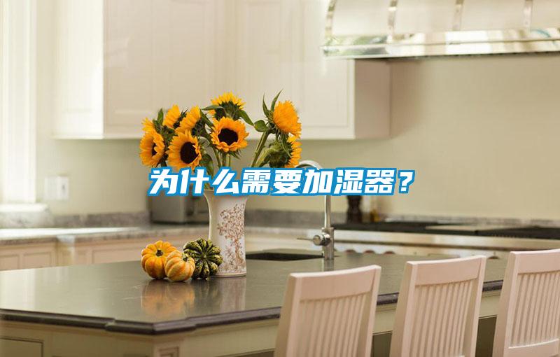 為什么需要加濕器？