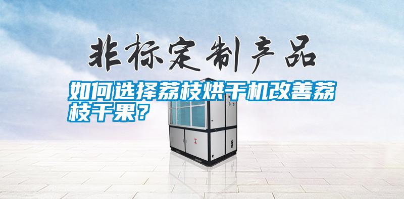 如何選擇荔枝烘干機改善荔枝干果？