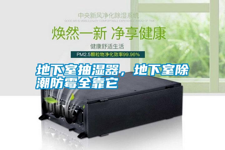 地下室抽濕器,地下室除潮防霉全靠它