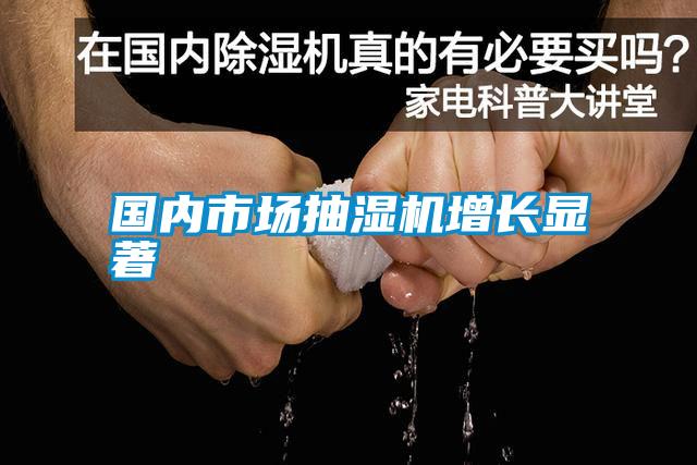 國內市場抽濕機增長顯著