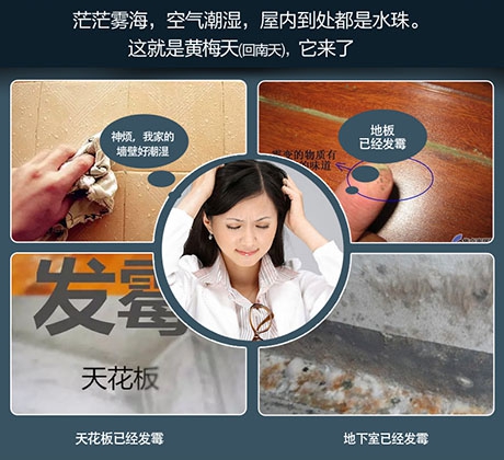 營銷人的理性與魄力 營銷人的理性與魄力