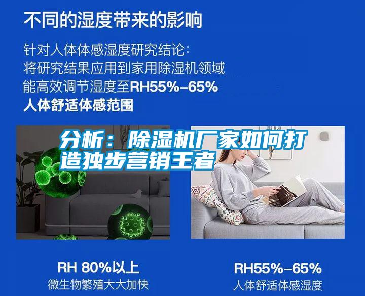 分析:除濕機(jī)廠家如何打造獨(dú)步營(yíng)銷王者