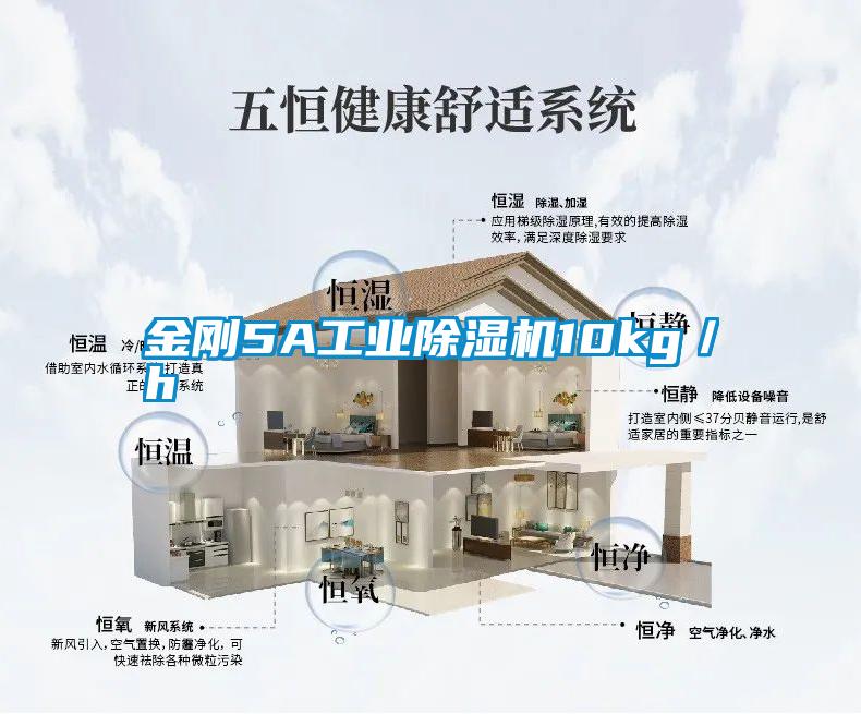 金剛5A工業除濕機10kg/h