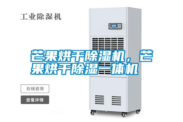 芒果烘干除濕機(jī),芒果烘干除濕一體機(jī)