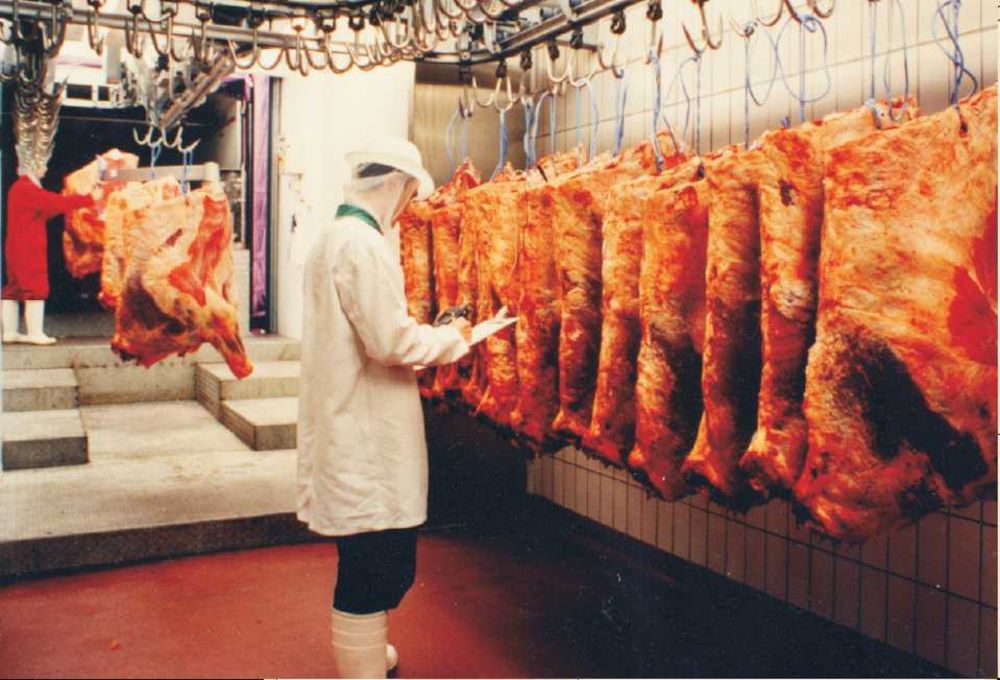 控制家禽處理車間的濕度解決方案 控制家禽處理車間的濕度解決方案