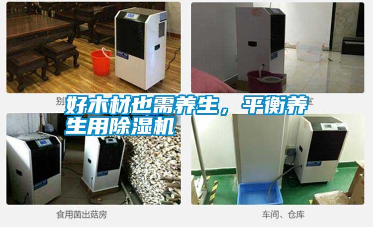 好木材也需養生，平衡養生用除濕機