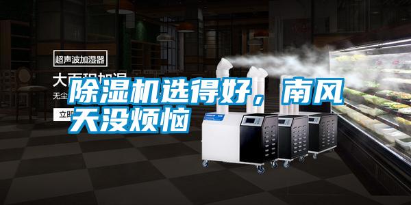 除濕機選得好，南風天沒煩惱