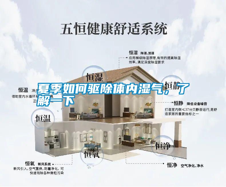 夏季如何驅除體內濕氣,了解一下