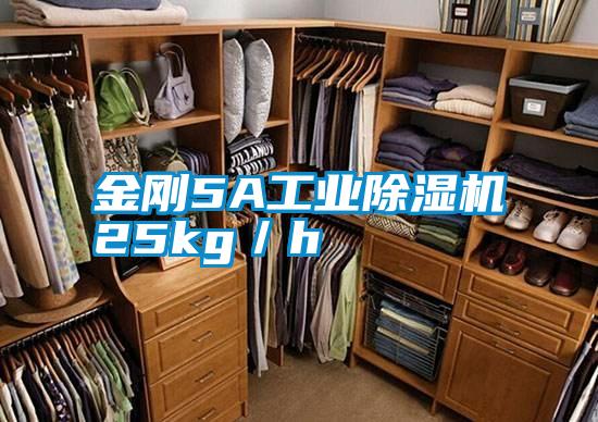 金剛5A工業除濕機25kg/h