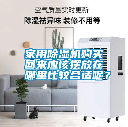 家用除濕機(jī)購(gòu)買(mǎi)回來(lái)應(yīng)該擺放在哪里比較合適呢?
