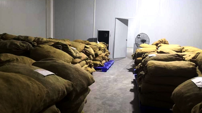 倉庫除濕機在陳皮儲存過程中的應用 倉庫除濕機在陳皮儲存過程中的應用