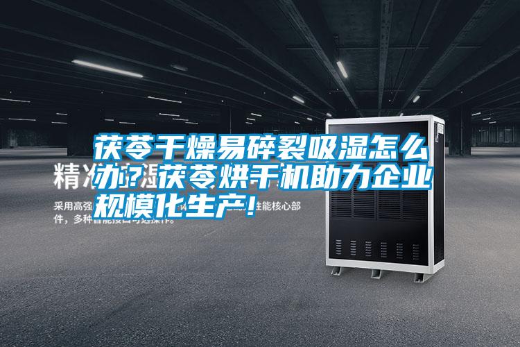 茯苓干燥易碎裂吸濕怎么辦?茯苓烘干機助力企業規模化生產!