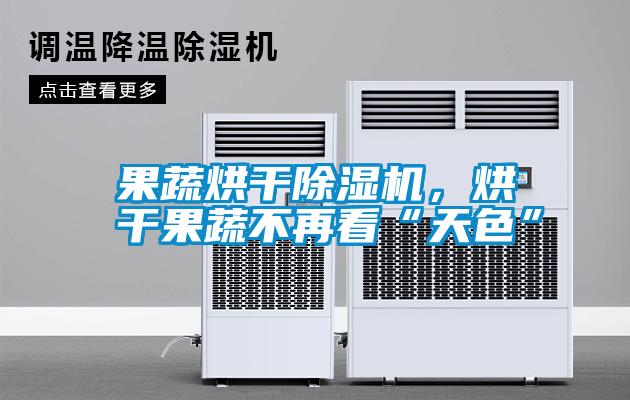 果蔬烘干除濕機,烘干果蔬不再看“天色”